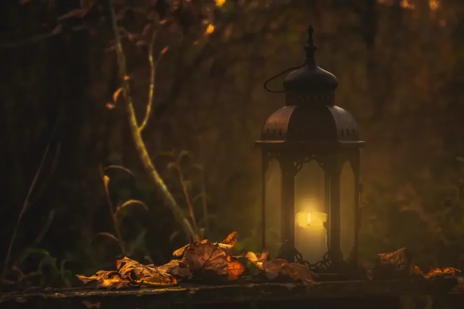 Photo of a yellow pillar candle in black lantern giving the forest light.