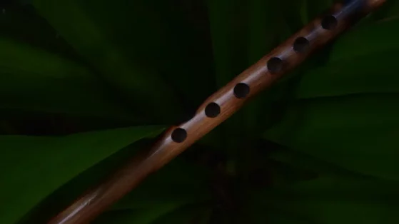 brown-flute Brown flute.