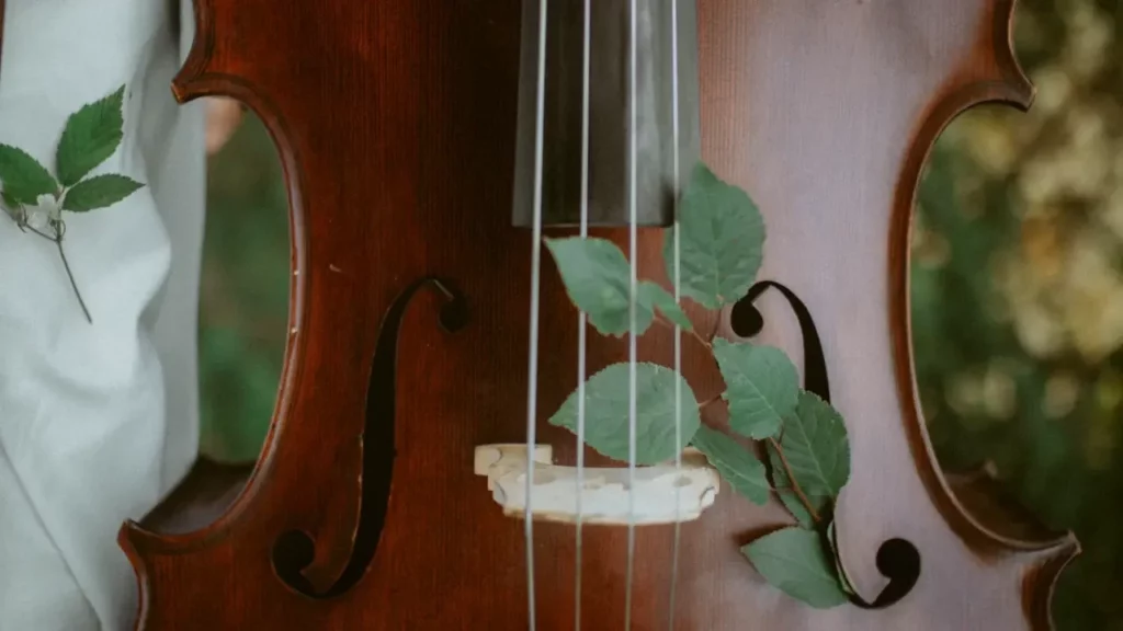 Green leaves on brown wooden violin. Themes of fantasy music.
