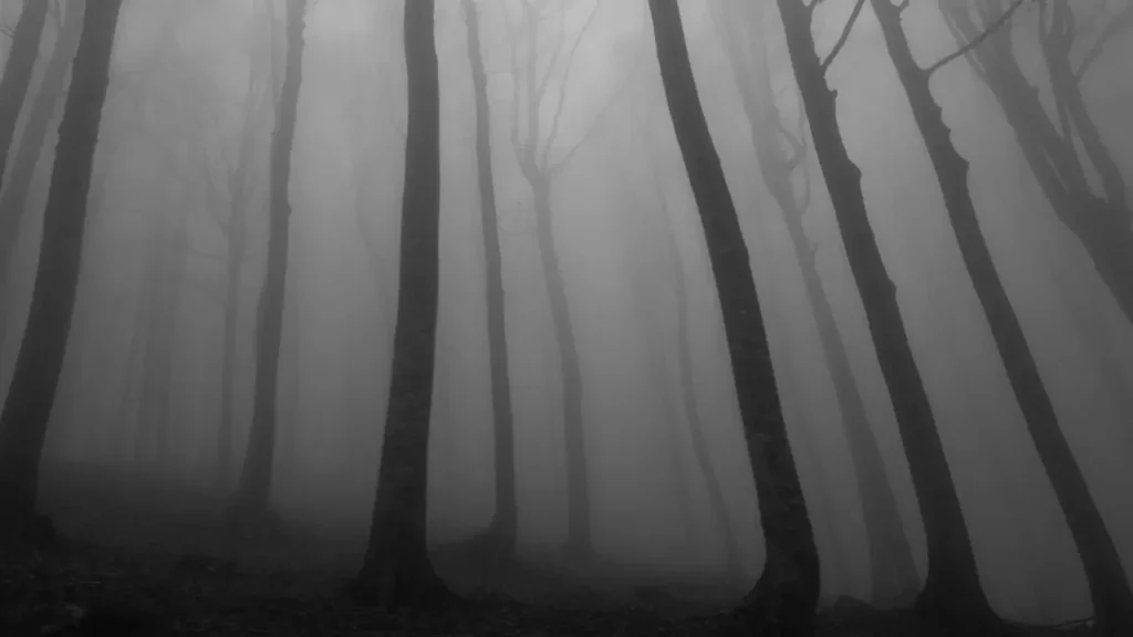 Trees in the frog. Themes of Season of Ghosts.